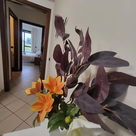 شقة Accogliente Bilocale Con Giardino E Parcheggio *